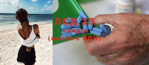 сатива Арсеньев