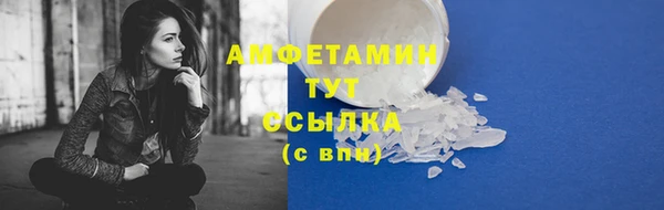 крисы Армянск