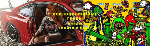 крисы Армянск