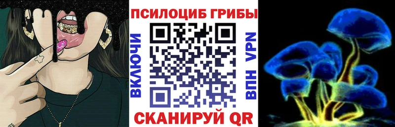 Псилоцибиновые грибы мицелий  Советская Гавань 